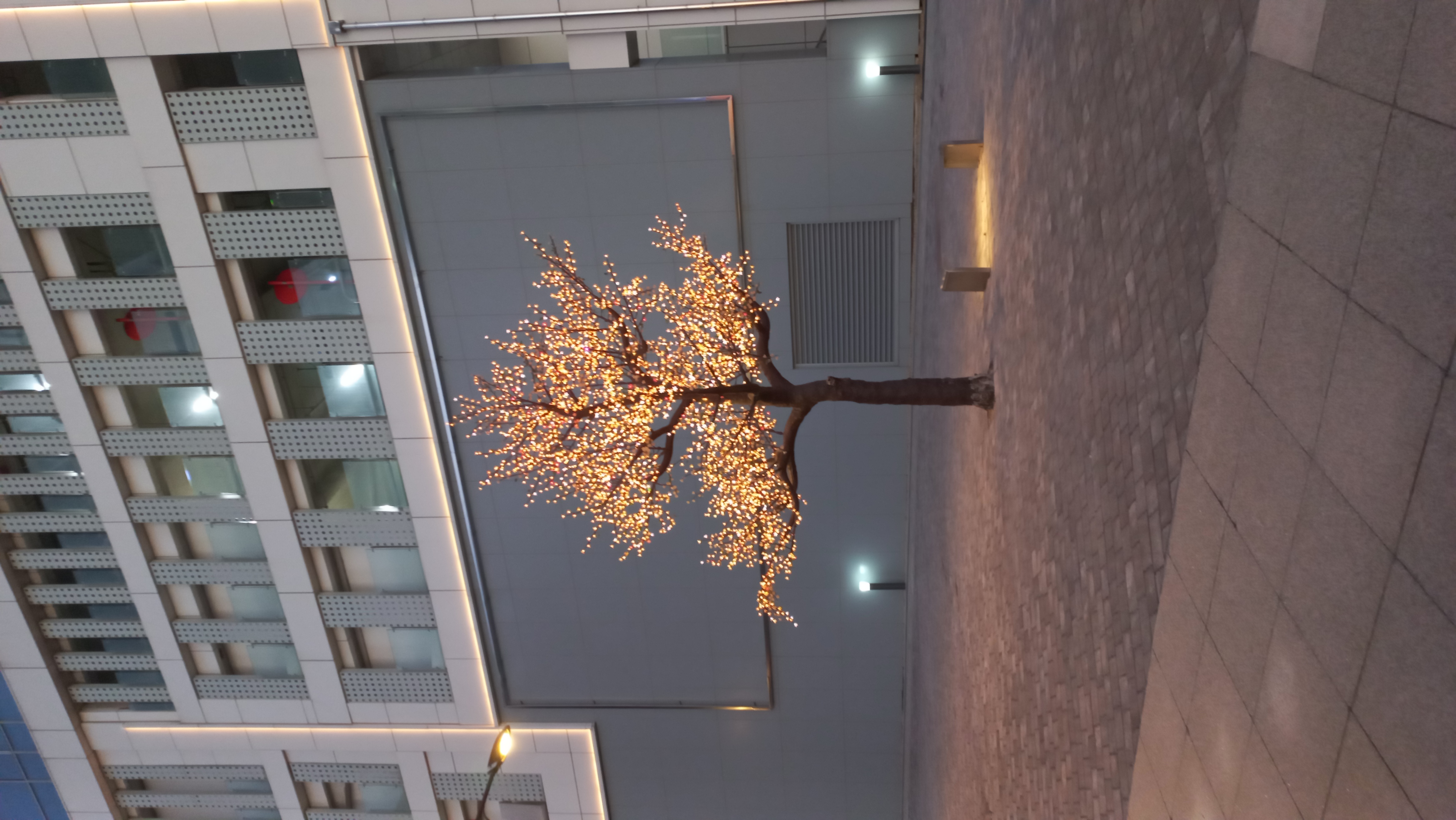 Brand 배경